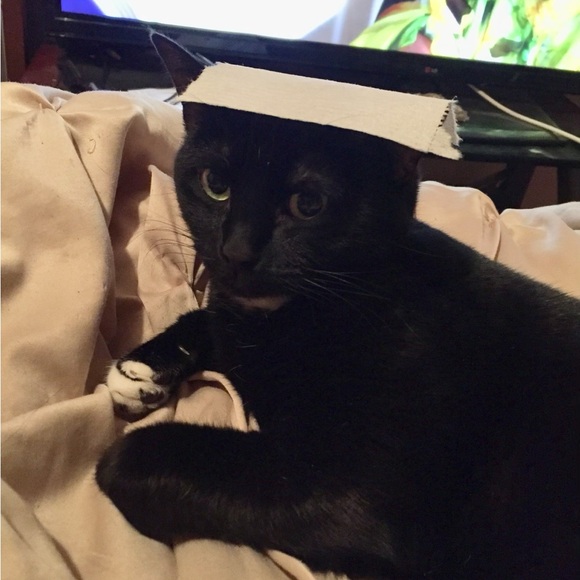 Meet your Posher, Tina - Picture 10 of 15